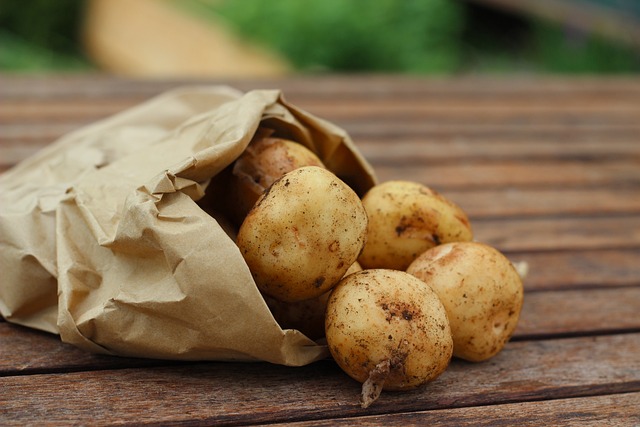 Comment faire germer ses pommes de terre? post thumbnail image